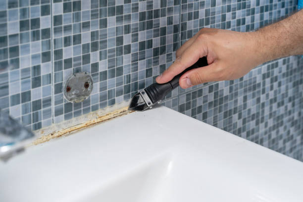 Best Professional Mold Removal  in Felton, DE