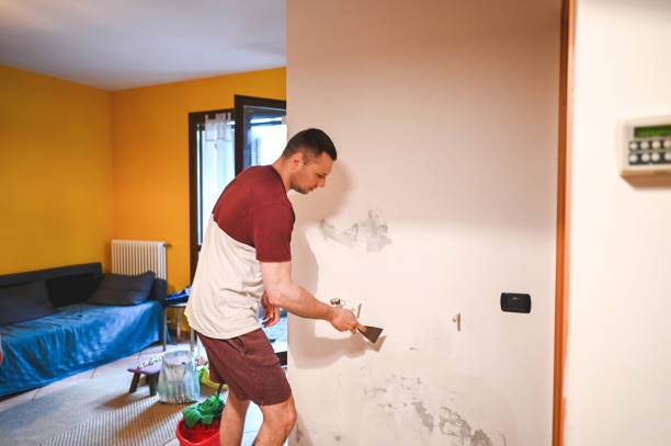 Best Fast Mold Removal  in Felton, DE
